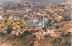 Vente Terrain Relizane Ouled sidi mihoub
