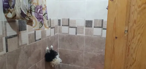 Vente Immeuble Tebessa Tebessa