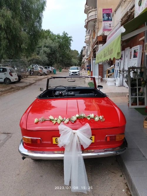 Location pour cortège des fêtes 