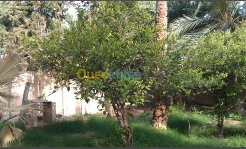 Vente Villa Biskra Biskra