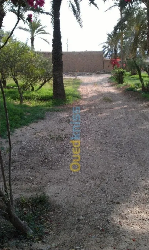 Vente Villa Biskra Biskra