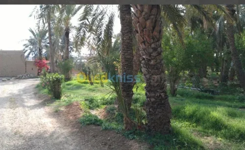 Vente Villa Biskra Biskra