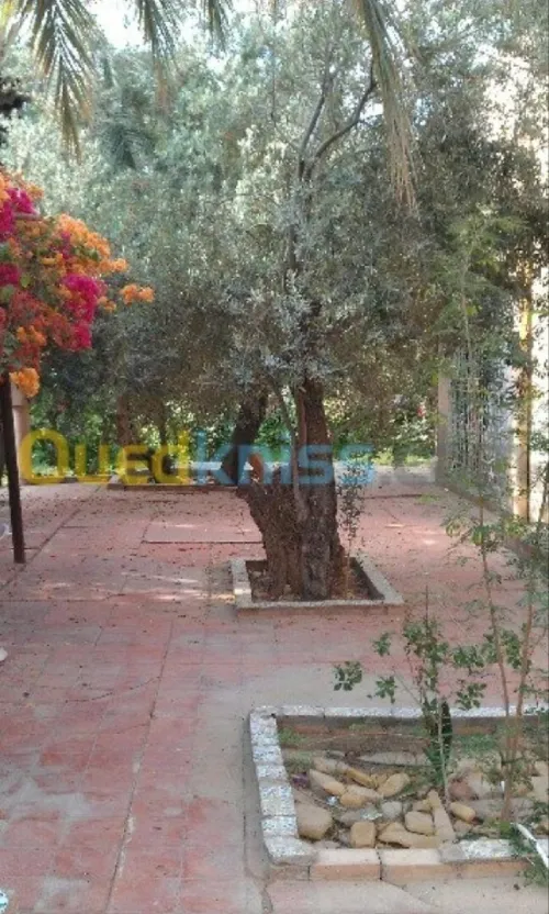 Vente Villa Biskra Biskra