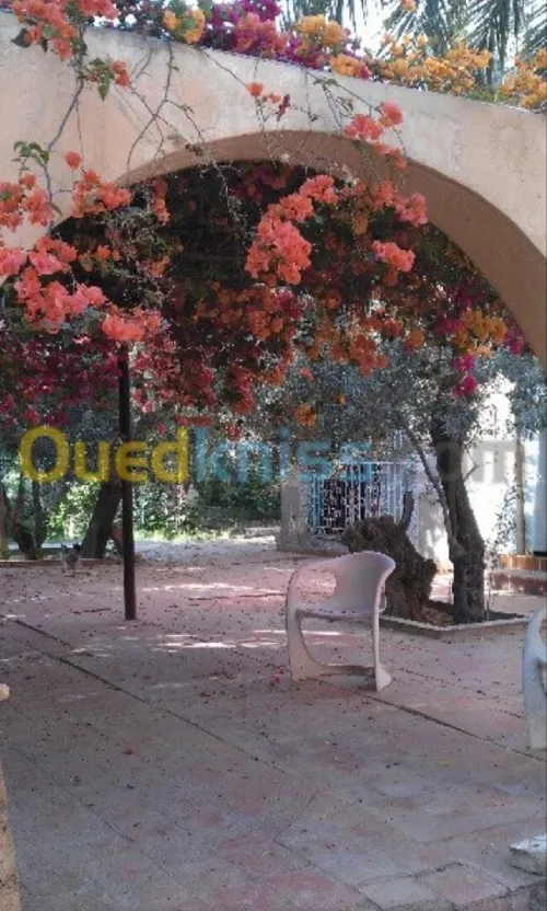 Vente Villa Biskra Biskra