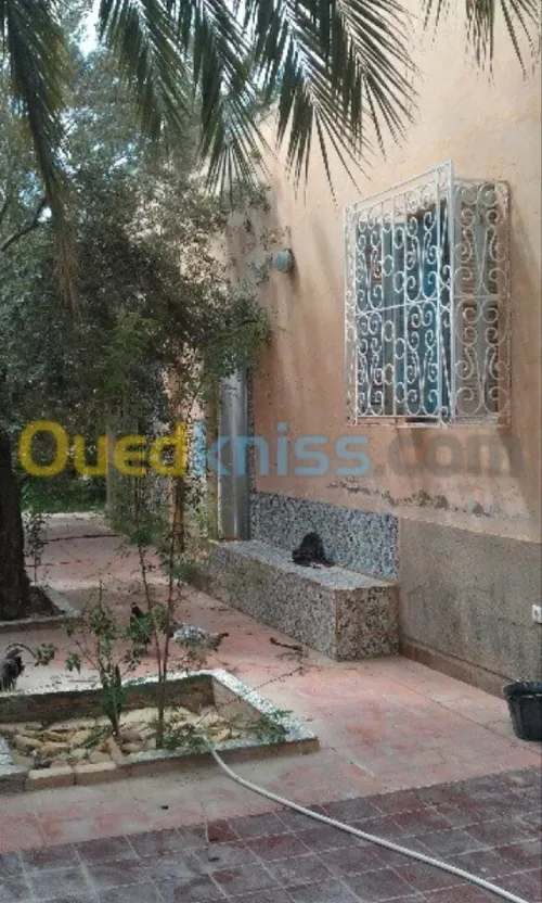 Vente Villa Biskra Biskra