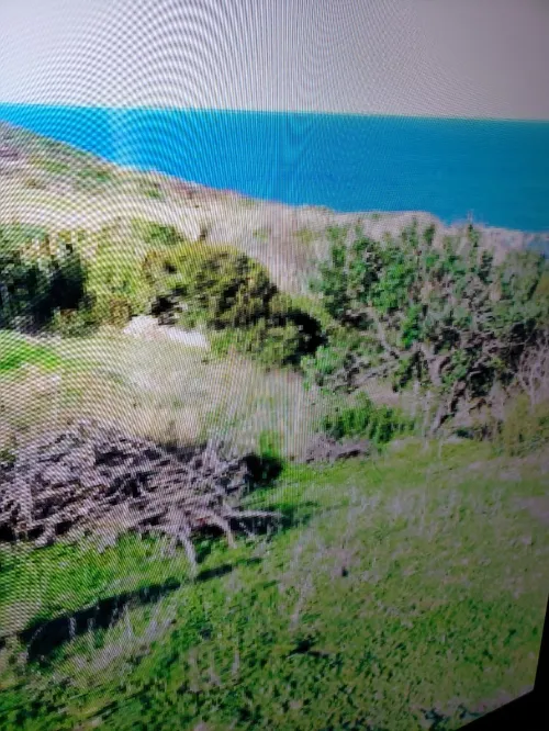 Vente Terrain Tizi ouzou Azeffoun