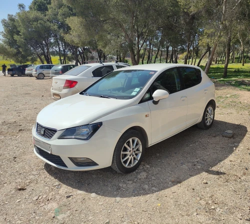 Seat Ibiza 2013 Fully