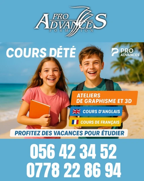 Cours d'été: Ateliers Graphisme et 3D - Ados et Enfants