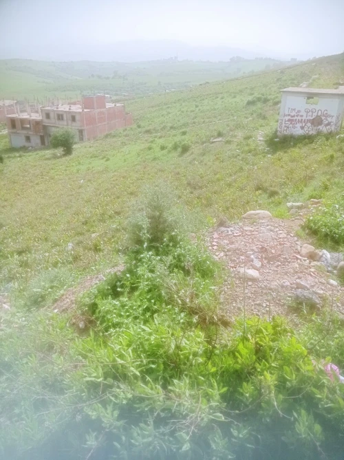 Vente Terrain Jijel Jijel