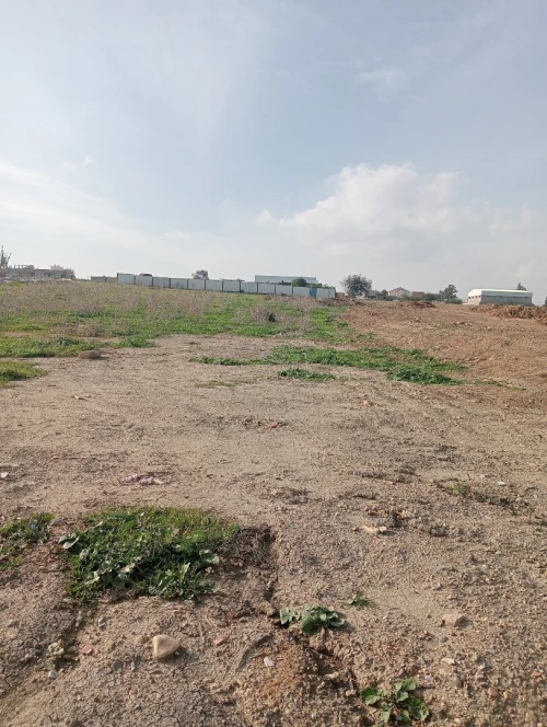 Location Terrain Boumerdès Ouled moussa