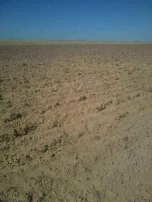 Location Terrain Agricole Djelfa Birine