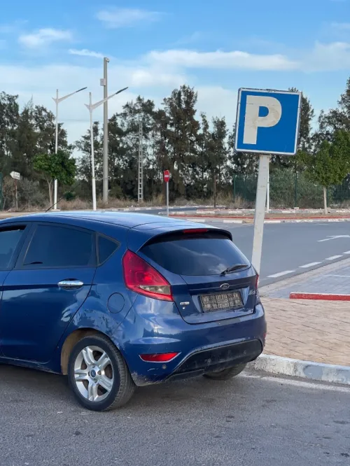 Ford Fiesta 2010 Fiesta