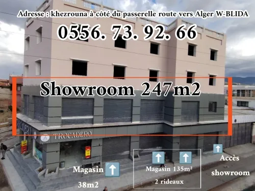 Location Local Blida Blida