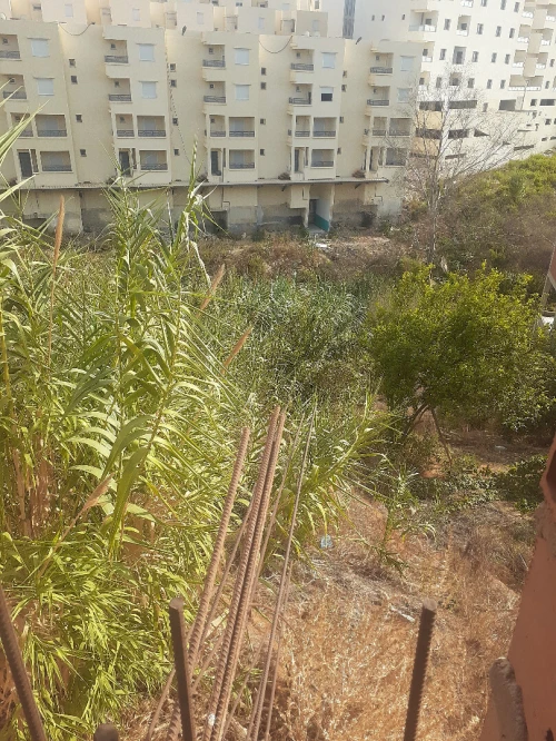 Vente Terrain Alger Ouled fayet