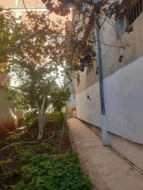 Vente Villa Alger Ouled fayet