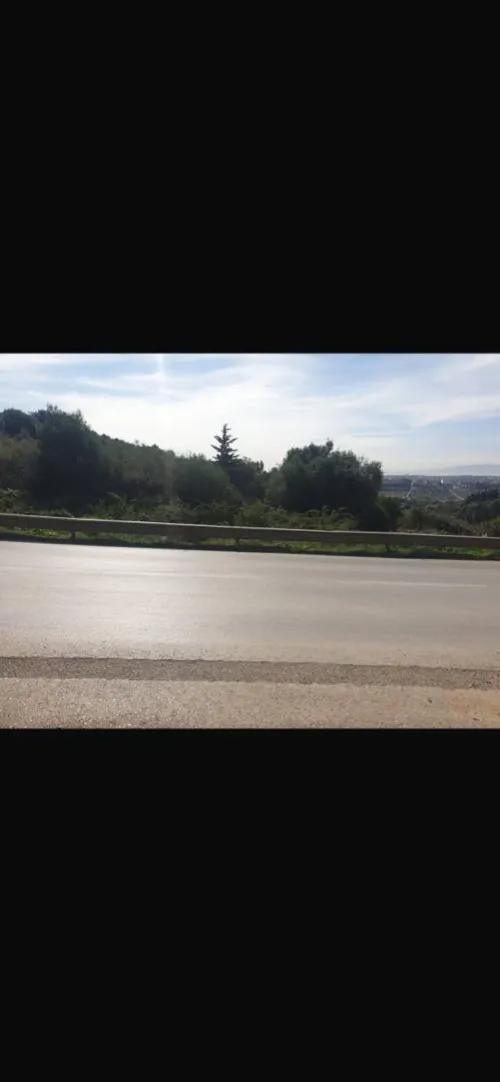 Vente Terrain Alger Beni messous