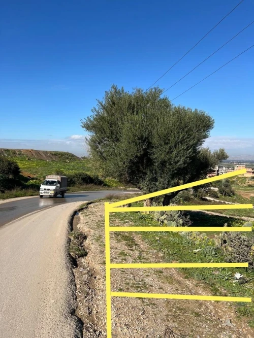 Vente Terrain Blida Meftah