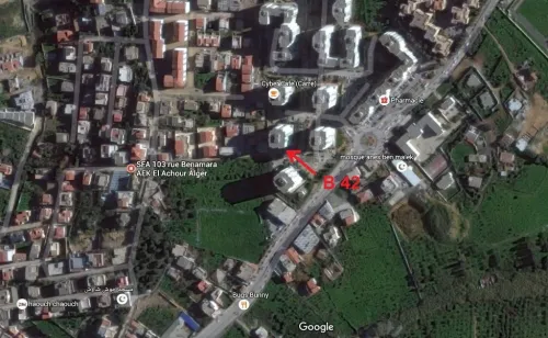 Location Local Alger El achour