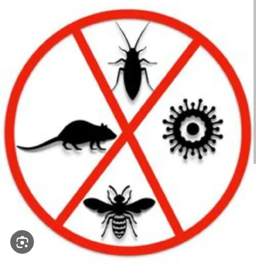Lutte contre les insectes et rongeurs 