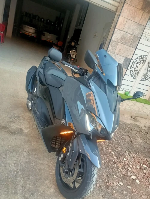 560 Tamx 2022