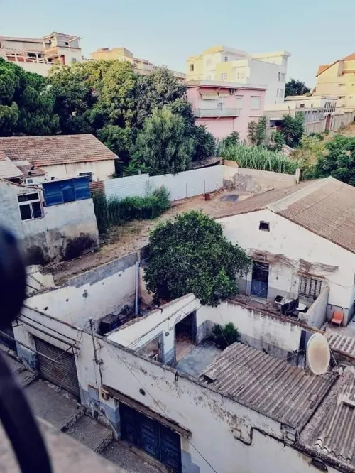 Vente Terrain Tipaza Kolea 2