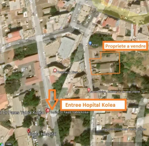 Vente Terrain Tipaza Kolea 4