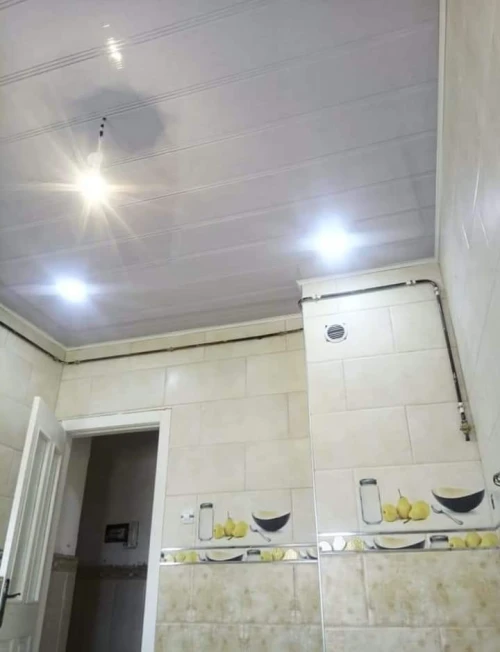 Travis faux plafond pvc Et plako plat
