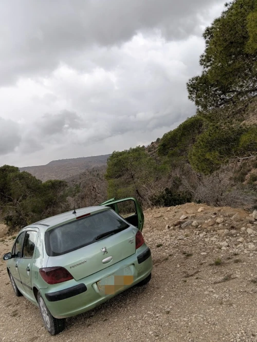Peugeot 307 2003 307