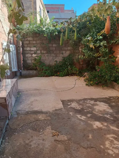 Vente Villa Blida Larbaa