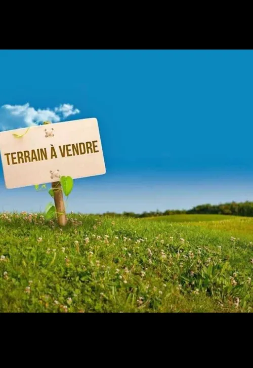 Vente Terrain Blida Boufarik