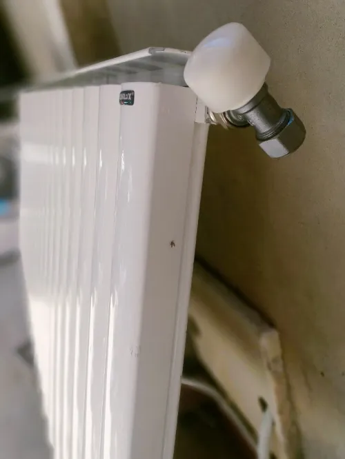 Radiateur italienne 20 éléments