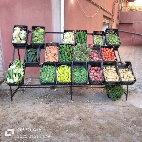 vend caisse fruits et légumes bonne occasion