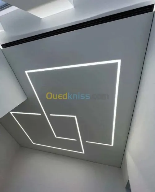  الديكور الداخلي للبيوت و العمارات و كذا كل اشغال الطلاء و الجبس و البلاكو بلاترن .  