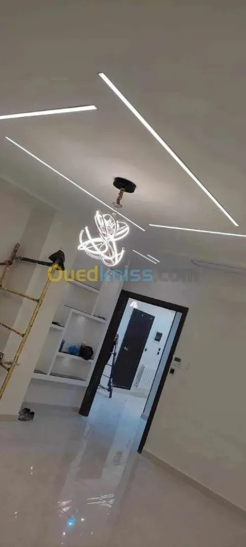  الديكور الداخلي للبيوت و العمارات و كذا كل اشغال الطلاء و الجبس و البلاكو بلاترن .  