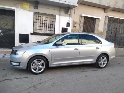 Skoda Fabia 2014 Rabid