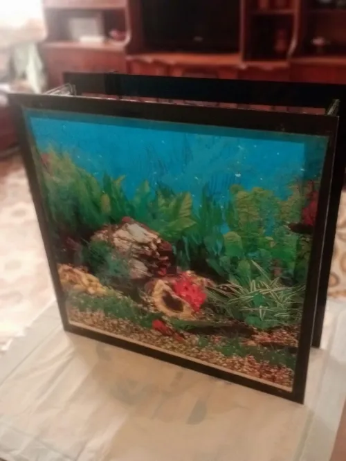 Aquarium de poisson 55,5cm  55,5cm