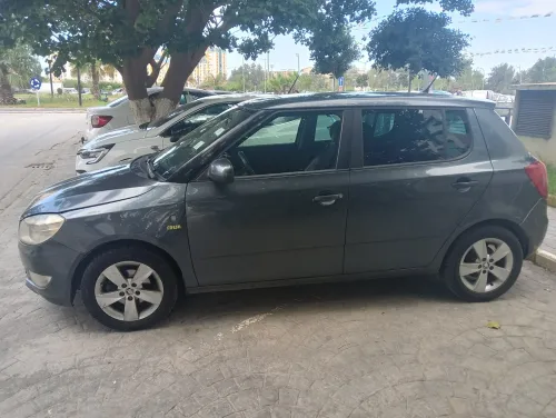 Skoda Fabia 2014 Fresh