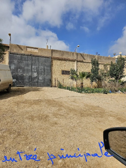 Vente Immeuble Chlef Chettia