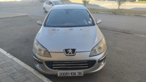 Peugeot 407 2008 407