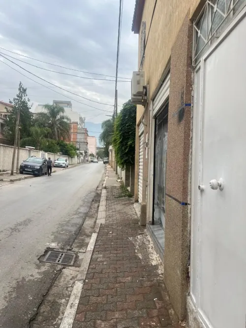 Location Appartement Niveau de villa Studio Blida Blida