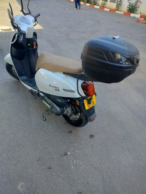 Benelli Panarea 2023