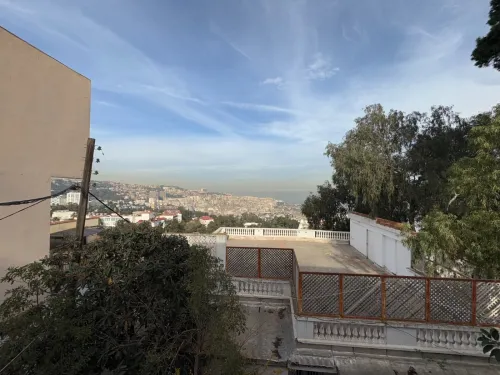 Vente Alger Hydra
