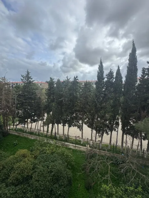 Location Appartement F3 Alger Dely brahim