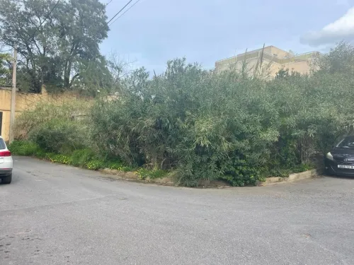 Vente Terrain Alger Birkhadem