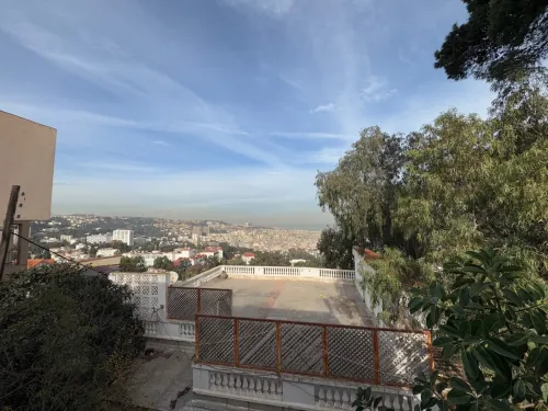 Vente Alger Hydra