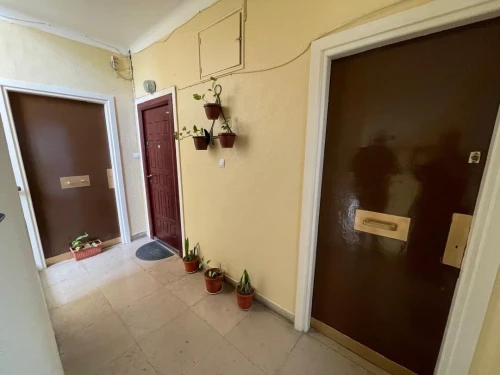Location Appartement F3 Alger Alger centre 8