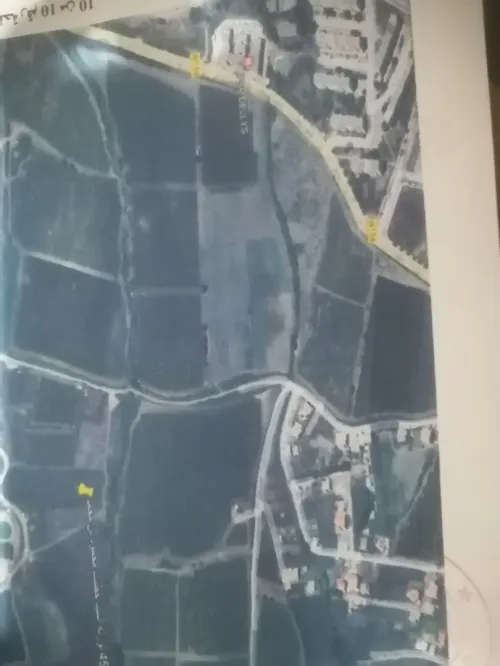 Vente Terrain Agricole Boumerdès Dellys