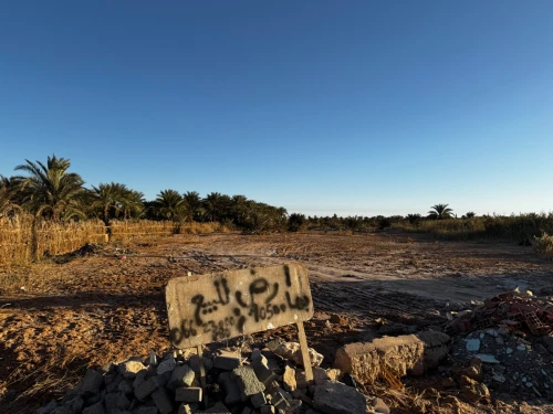 Vente Terrain Ouargla Ain beida