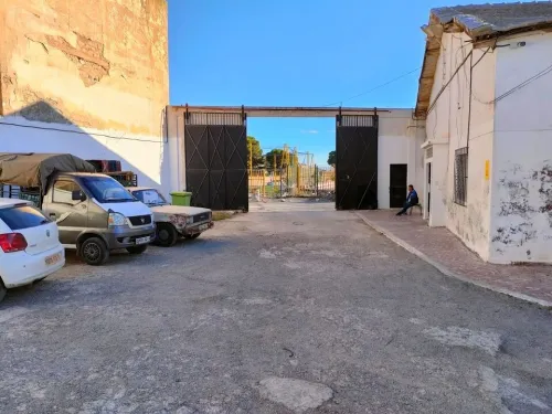 Vente Hangar - Usine Oran Oran