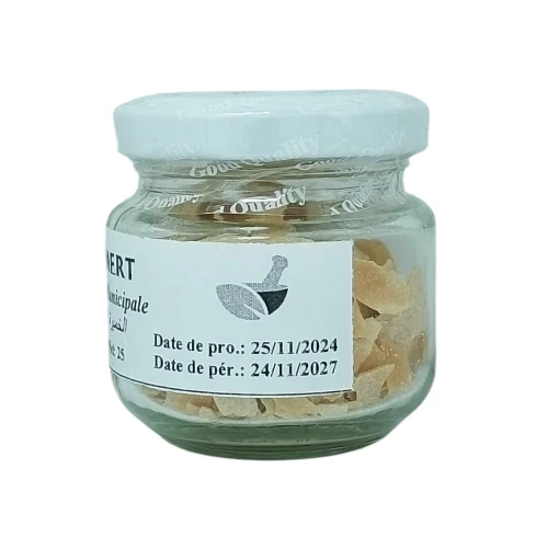 La Levure Municipale 100% Naturelle 25Gr